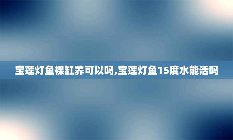 宝莲灯鱼裸缸养可以吗,宝莲灯鱼15度水能活吗