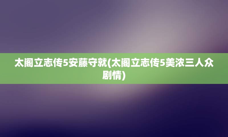 太阁立志传5安藤守就(太阁立志传5美浓三人众剧情)