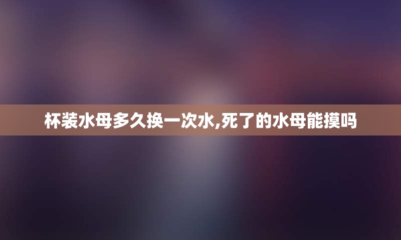 杯装水母多久换一次水,死了的水母能摸吗