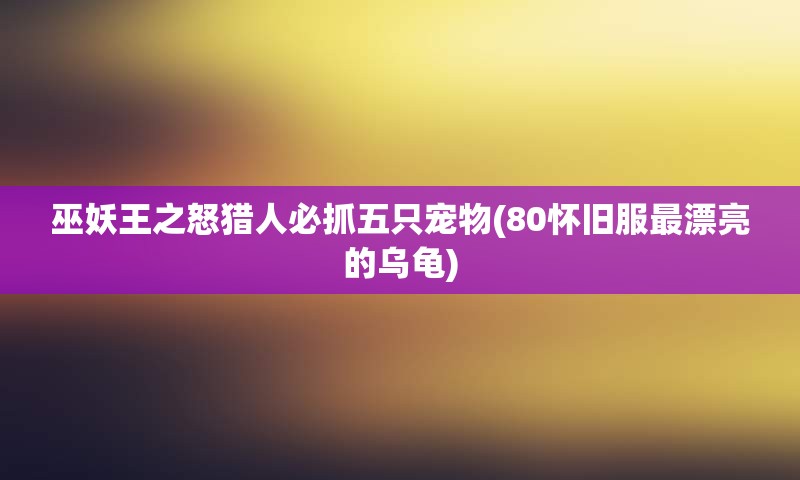 巫妖王之怒猎人必抓五只宠物(80怀旧服最漂亮的乌龟)