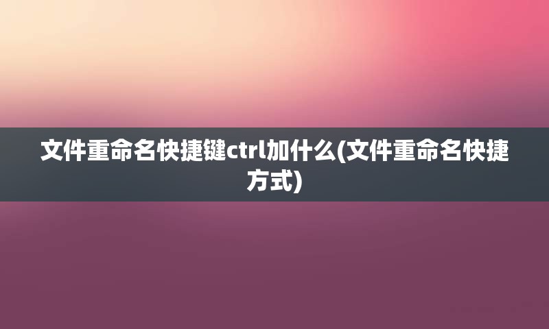 文件重命名快捷键ctrl加什么(文件重命名快捷方式)