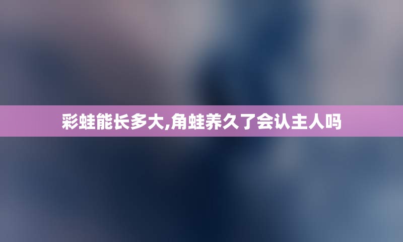 彩蛙能长多大,角蛙养久了会认主人吗