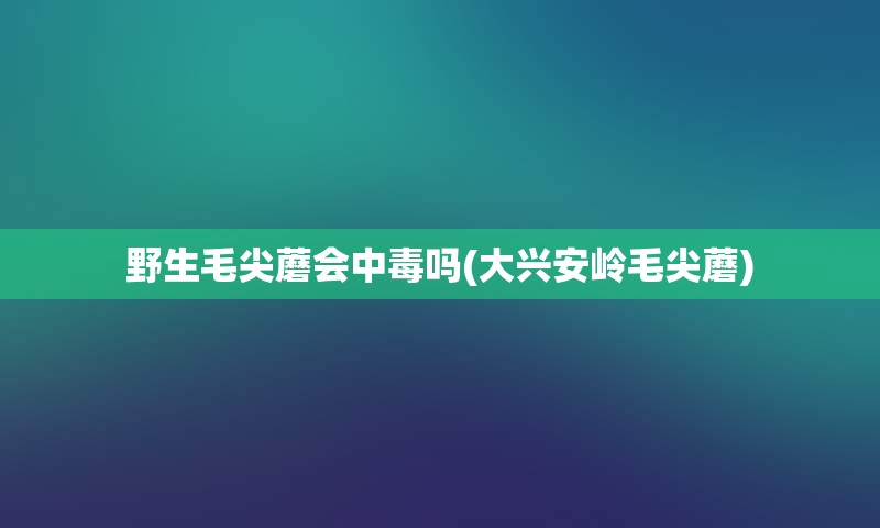 野生毛尖蘑会中毒吗(大兴安岭毛尖蘑)