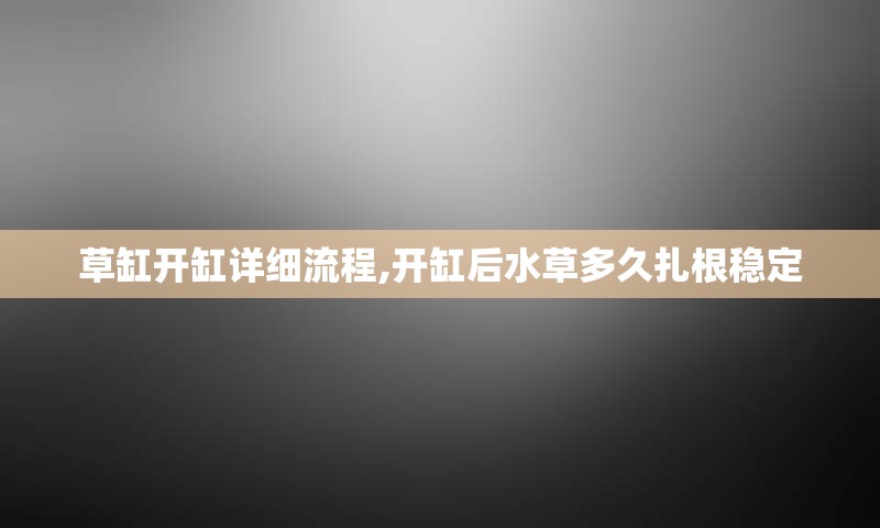 草缸开缸详细流程,开缸后水草多久扎根稳定