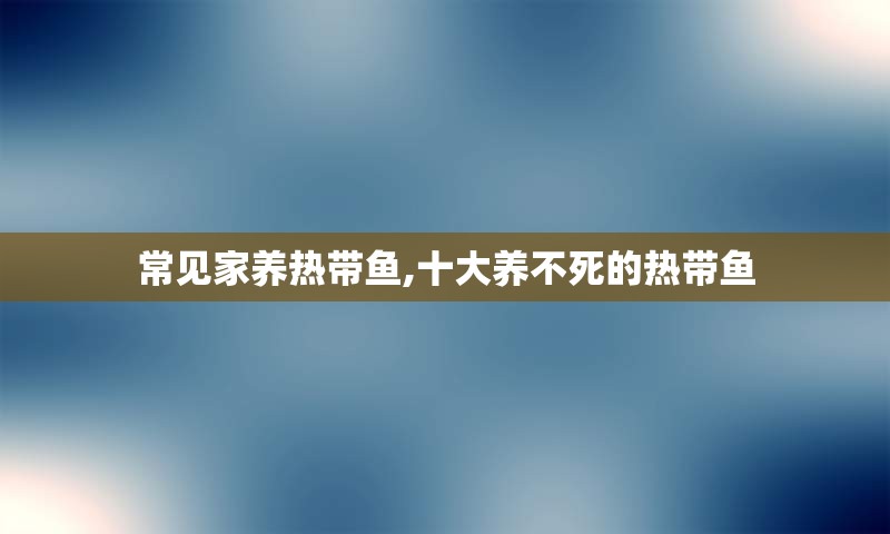 常见家养热带鱼,十大养不死的热带鱼