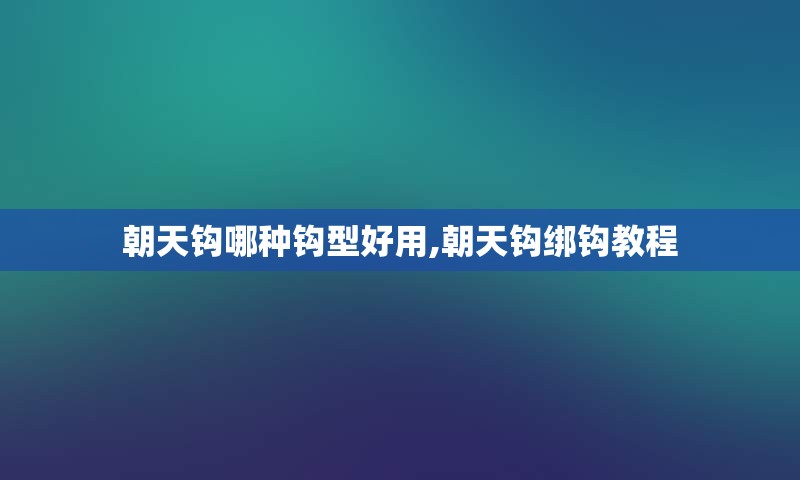 朝天钩哪种钩型好用,朝天钩绑钩教程