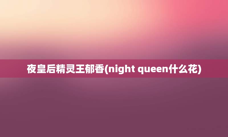 夜皇后精灵王郁香(night queen什么花)