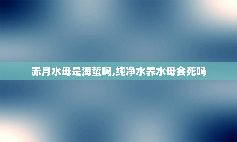 赤月水母是海蜇吗,纯净水养水母会死吗