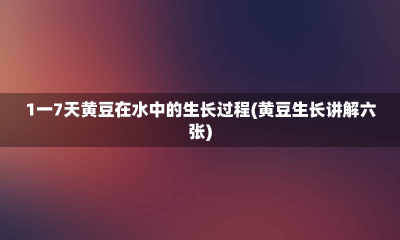 1一7天黄豆在水中的生长过程(黄豆生长讲解六张)