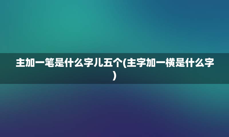 主加一笔是什么字儿五个(主字加一横是什么字)