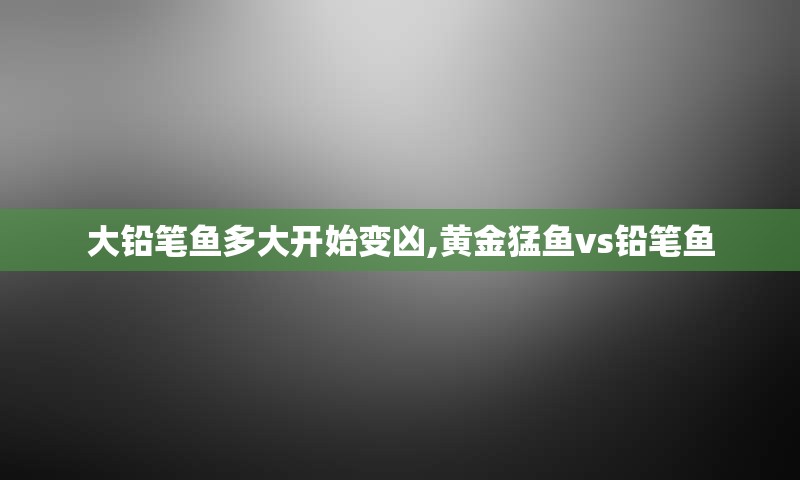 大铅笔鱼多大开始变凶,黄金猛鱼vs铅笔鱼