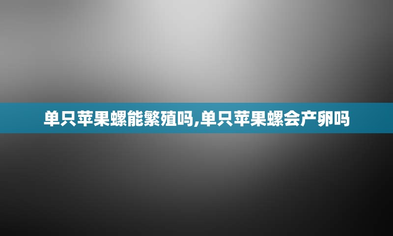 单只苹果螺能繁殖吗,单只苹果螺会产卵吗