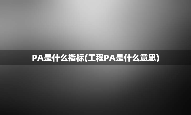 PA是什么指标(工程PA是什么意思)