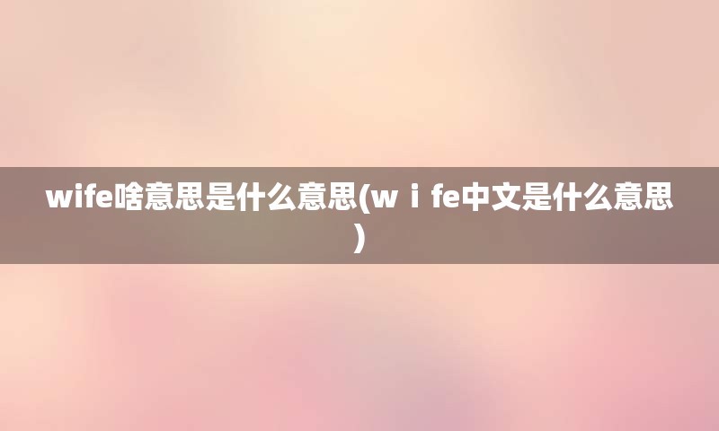 wife啥意思是什么意思(wⅰfe中文是什么意思)