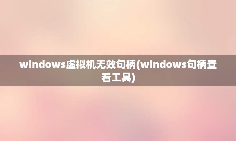 windows虚拟机无效句柄(windows句柄查看工具)