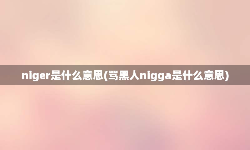 niger是什么意思(骂黑人nigga是什么意思)