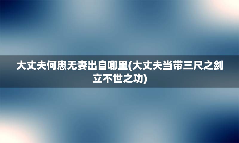 大丈夫何患无妻出自哪里(大丈夫当带三尺之剑立不世之功)