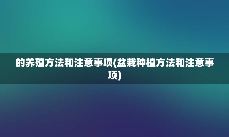 的养殖方法和注意事项(盆栽种植方法和注意事项)