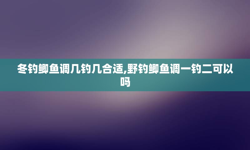 冬钓鲫鱼调几钓几合适,野钓鲫鱼调一钓二可以吗