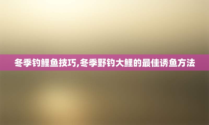 冬季钓鲤鱼技巧,冬季野钓大鲤的最佳诱鱼方法