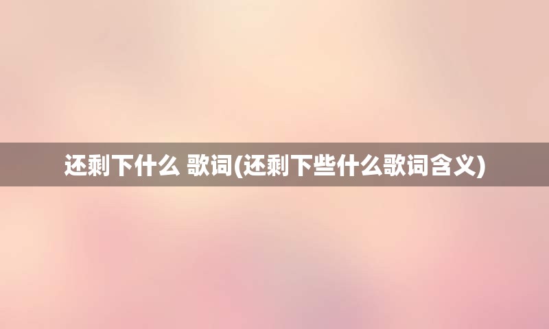 还剩下什么 歌词(还剩下些什么歌词含义)