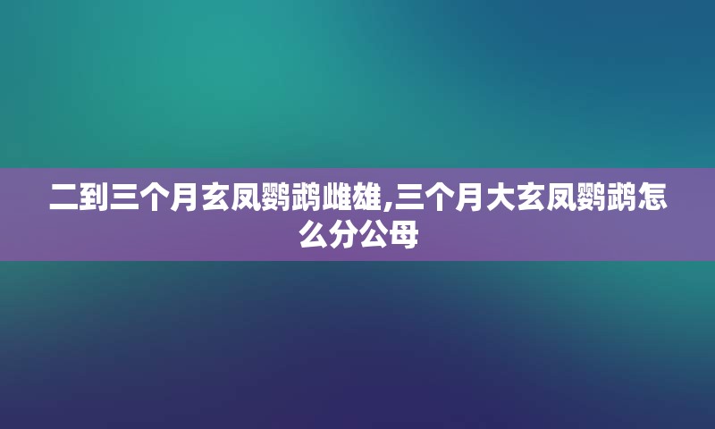 二到三个月玄凤鹦鹉雌雄,三个月大玄凤鹦鹉怎么分公母