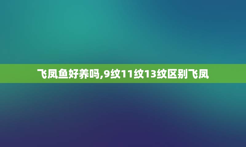 飞凤鱼好养吗,9纹11纹13纹区别飞凤