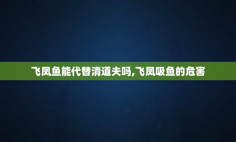 飞凤鱼能代替清道夫吗,飞凤吸鱼的危害