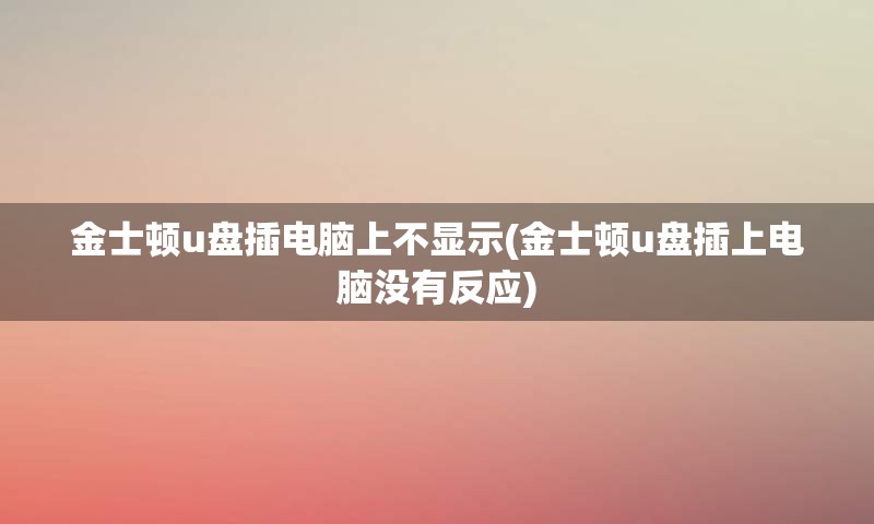 金士顿u盘插电脑上不显示(金士顿u盘插上电脑没有反应)