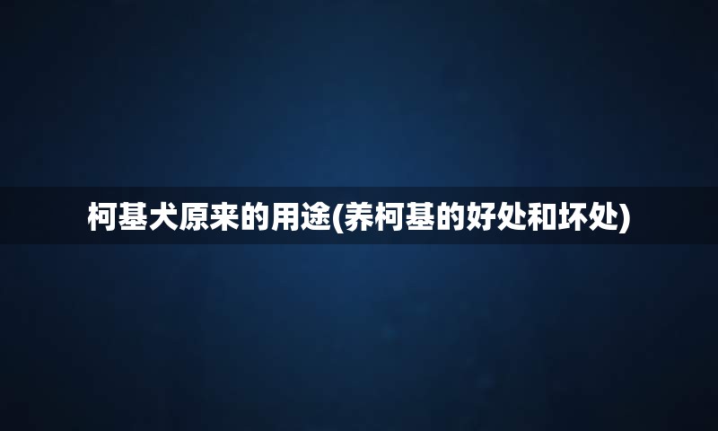 柯基犬原来的用途(养柯基的好处和坏处)