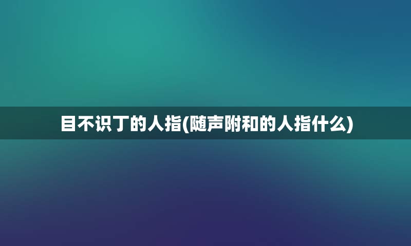 目不识丁的人指(随声附和的人指什么)