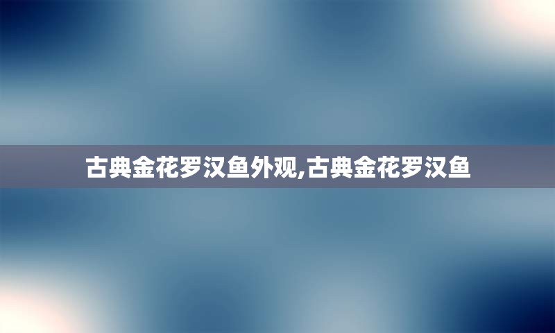 古典金花罗汉鱼外观,古典金花罗汉鱼