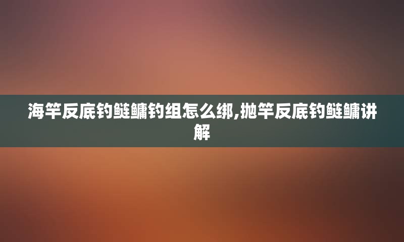 海竿反底钓鲢鳙钓组怎么绑,抛竿反底钓鲢鳙讲解