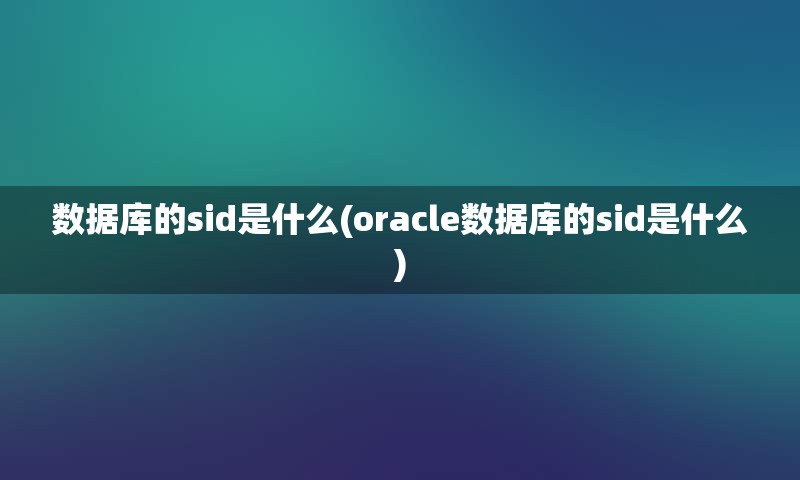 数据库的sid是什么(oracle数据库的sid是什么)