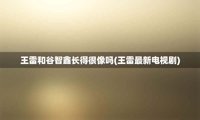 王雷和谷智鑫长得很像吗(王雷最新电视剧)