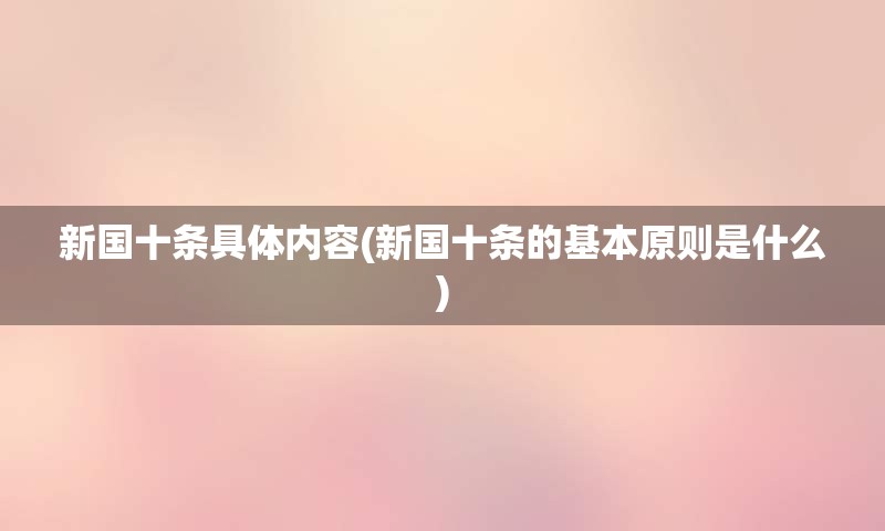 新国十条具体内容(新国十条的基本原则是什么)