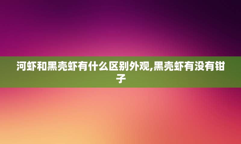 河虾和黑壳虾有什么区别外观,黑壳虾有没有钳子