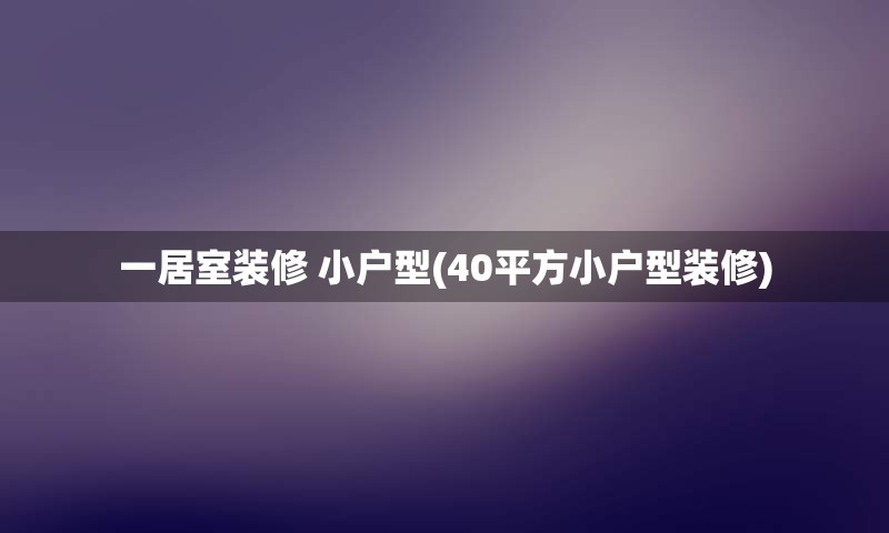 一居室装修 小户型(40平方小户型装修)