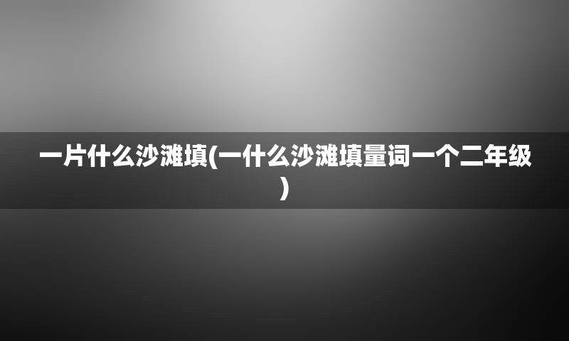 一片什么沙滩填(一什么沙滩填量词一个二年级)