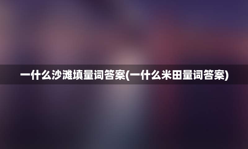 一什么沙滩填量词答案(一什么米田量词答案)