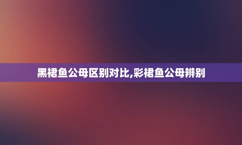 黑裙鱼公母区别对比,彩裙鱼公母辨别