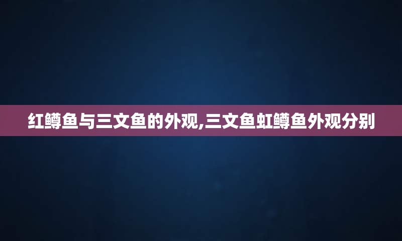 红鳟鱼与三文鱼的外观,三文鱼虹鳟鱼外观分别