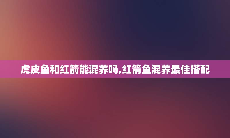 虎皮鱼和红箭能混养吗,红箭鱼混养最佳搭配