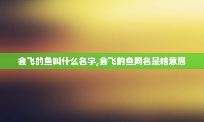 会飞的鱼叫什么名字,会飞的鱼网名是啥意思