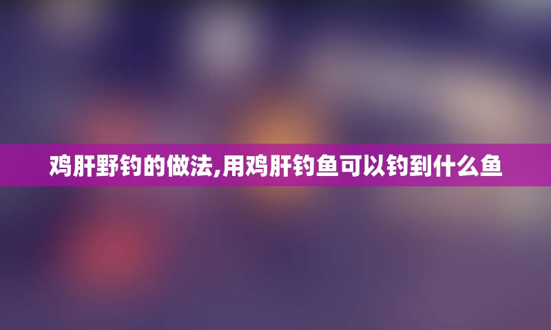 鸡肝野钓的做法,用鸡肝钓鱼可以钓到什么鱼