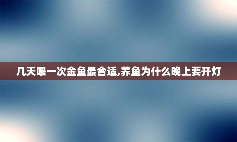 几天喂一次金鱼最合适,养鱼为什么晚上要开灯