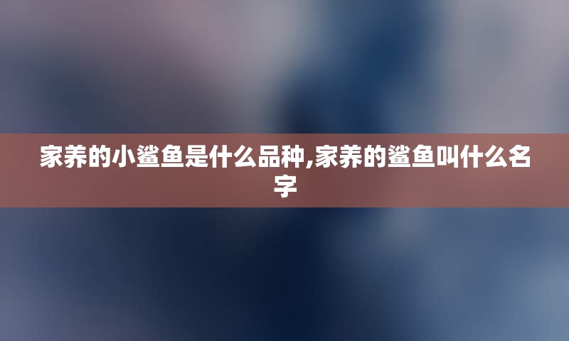 家养的小鲨鱼是什么品种,家养的鲨鱼叫什么名字