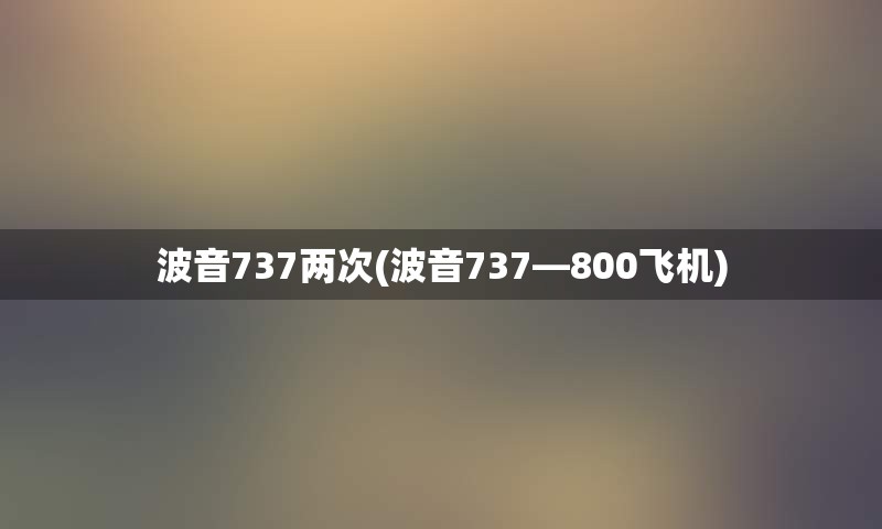 波音737两次(波音737—800飞机)