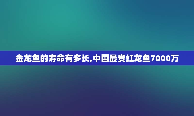 金龙鱼的寿命有多长,中国最贵红龙鱼7000万