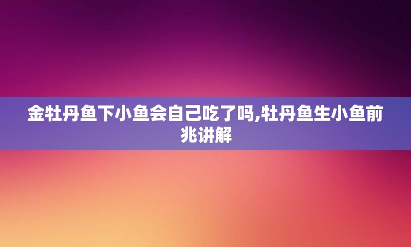 金牡丹鱼下小鱼会自己吃了吗,牡丹鱼生小鱼前兆讲解